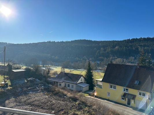 Blick ins Grüne