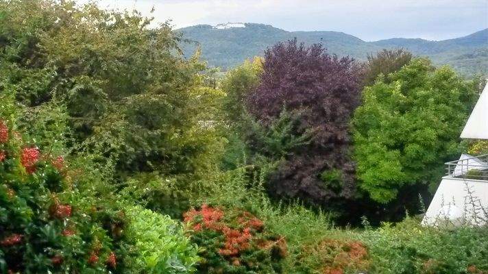 Ausblick vom Weg aus