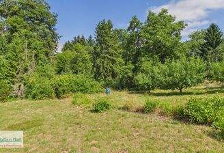 Garten und Zugang zum Wald