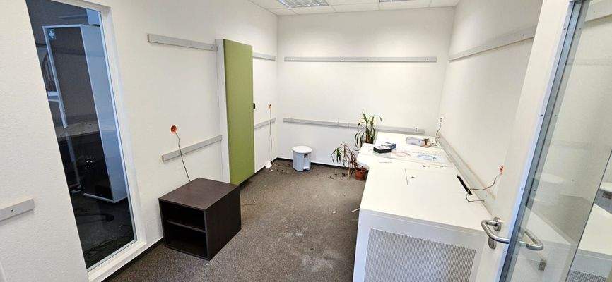 PHOTO-2024-11-26-14-01-21 2.jpg