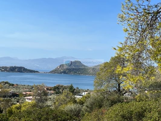 1 Ausblick vom Grundstück 