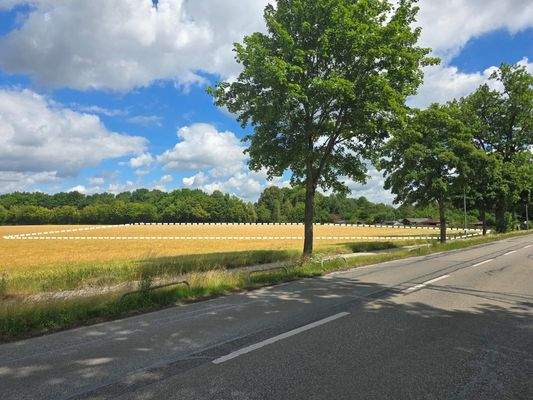 Grundstück neben Fasangartenstraße