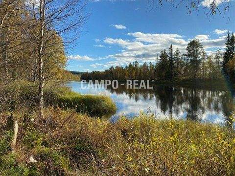 Fredrika Gastronomie, Pacht, Gaststätten