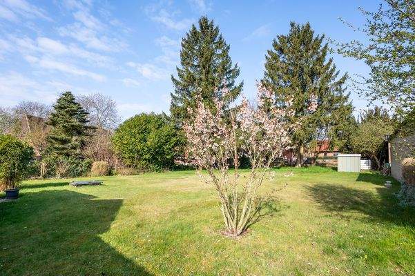 Blick aufs Grundstück