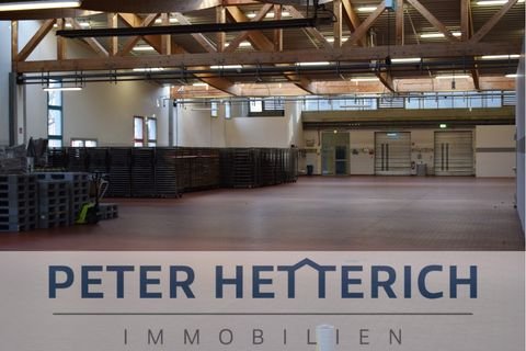 Schweinfurt Halle, Schweinfurt Hallenfläche