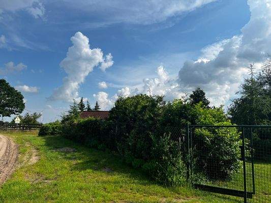 Grundstücksausgang zum Wald