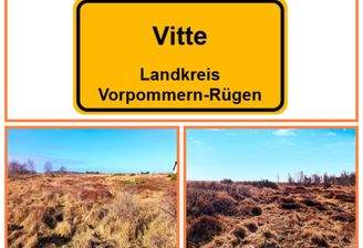 Gesamtansicht