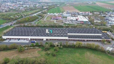 Mainz Halle, Mainz Hallenfläche