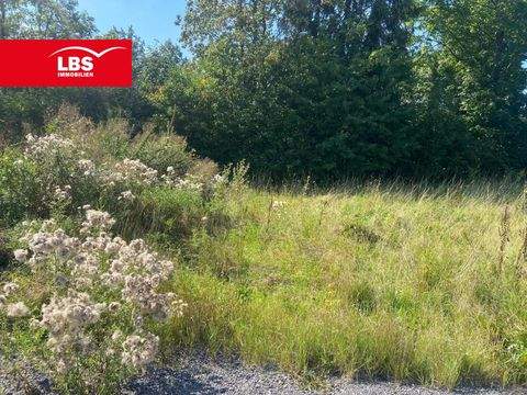 Olsberg Grundstücke, Olsberg Grundstück kaufen