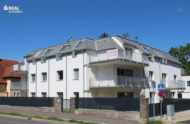 Bild 15