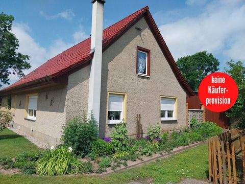 Woldegk / Pasenow Häuser, Woldegk / Pasenow Haus kaufen