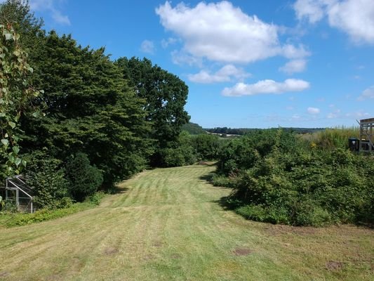 Garten / Potenzielles Baugrundstück