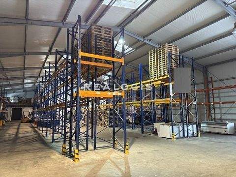 Oststeinbek Halle, Oststeinbek Hallenfläche