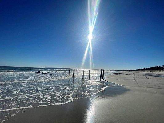 Strandfoto neu sonne.jpg