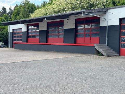 Rehlingen-Siersburg Halle, Rehlingen-Siersburg Hallenfläche