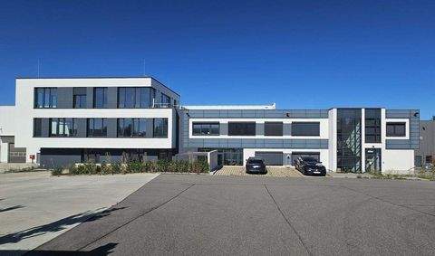 Chemnitz Halle, Chemnitz Hallenfläche