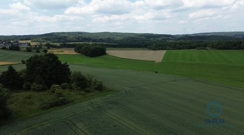 Nohfelden / Neunkirchen (Nahe) Bauernhöfe, Landwirtschaft, Nohfelden / Neunkirchen (Nahe) Forstwirtschaft