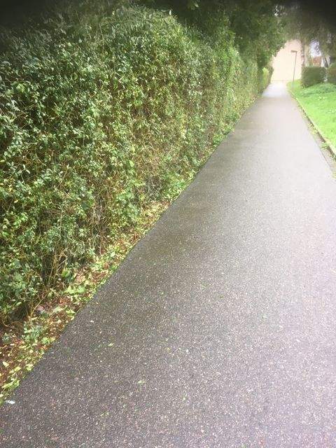 Chemnitz Kappel Grundstücke, Chemnitz Kappel Grundstück kaufen