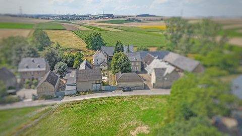 Münstermaifeld Häuser, Münstermaifeld Haus kaufen