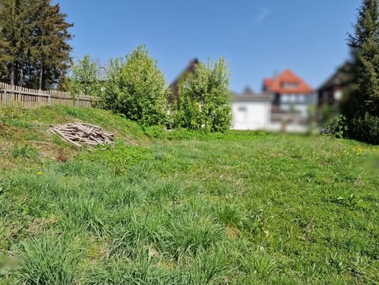 Haus-Benneckenstein-09_inPixio.jpg