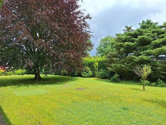 großer und grün angelegter Garten
