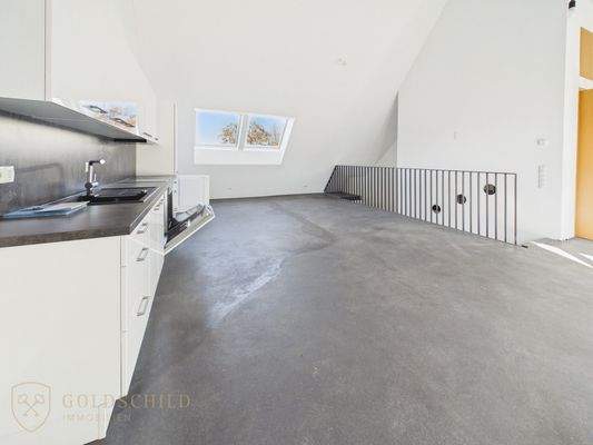 Küche und Wohnbereich (3)