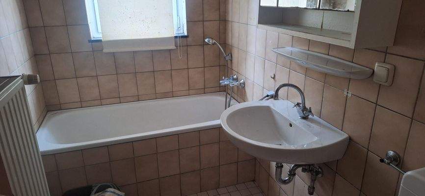 WhatsApp Image 2026-02-11 at 16.04.07.jpeg