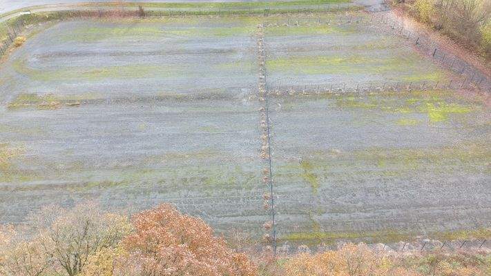 Gewerbe-/Lagerfläche 3.JPG