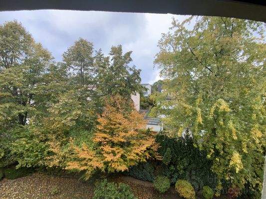 Ausblick nach hinten