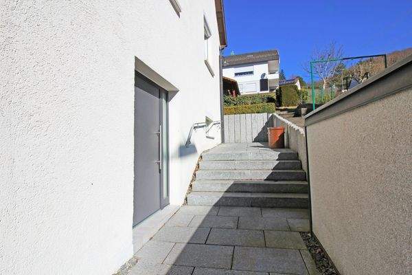 Aluminium-Eingangstür / Untergeschoss