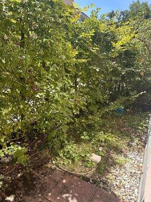 Garten privat 