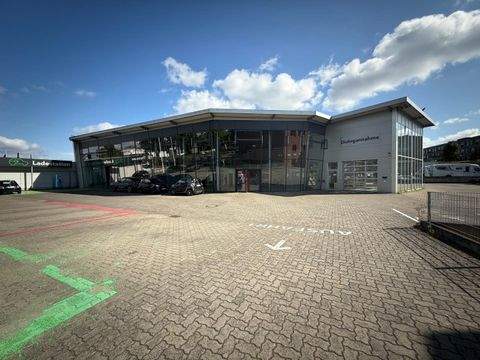 Hamburg Halle, Hamburg Hallenfläche