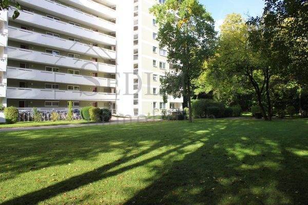 Gemeinschaftsgarten 2