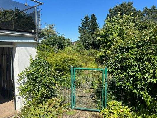 PHOTO-2025-08-09-15-14-00 5