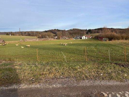 Flst.117 -Hausacker2-.jpeg