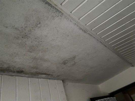 Stickgraser Damm 107