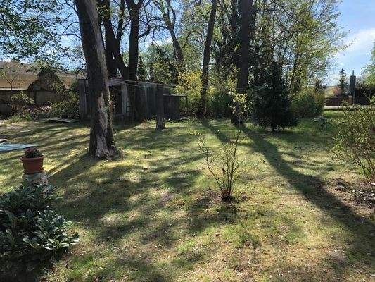 PHOTO-2026-02-19-21-21-24 3.jpg