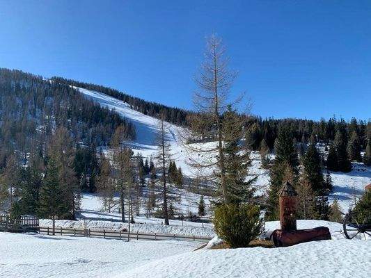 Blick auf die Skipiste aus dem Garten