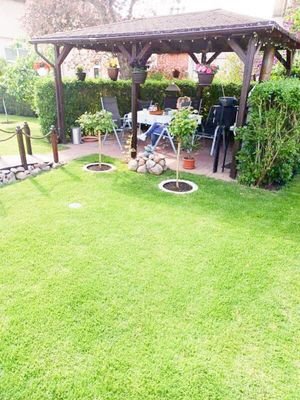 Bild 15