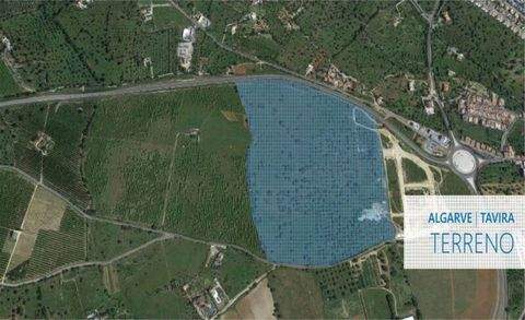 Tavira (Santa Maria) Grundstücke, Tavira (Santa Maria) Grundstück kaufen