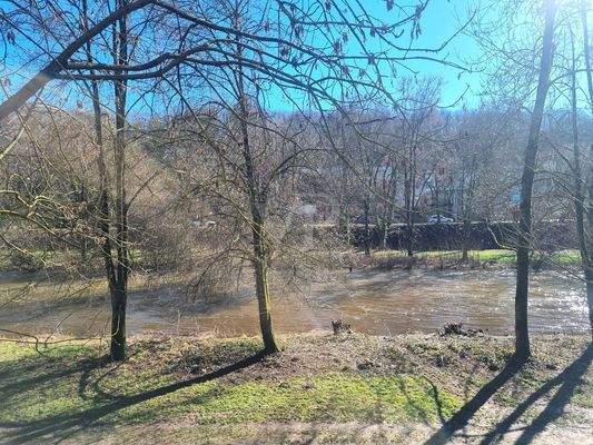 Enz fußläufig entfernt