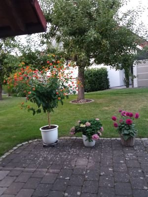 Blick von der Terrasse