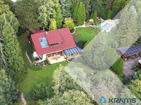 Eningen unter Achalm Halle, Eningen unter Achalm Hallenfläche