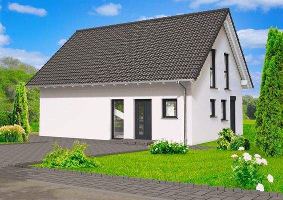 DUMAX SD 113 Eingang