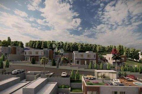 Jelsa Häuser, Jelsa Haus kaufen