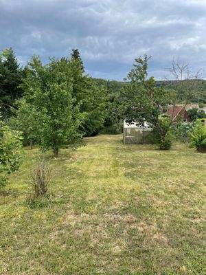 Blick aus dem Garten