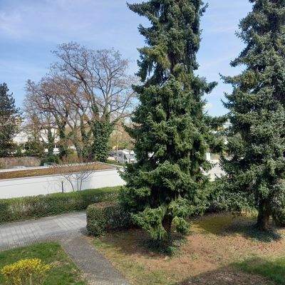 Ausblick Schlafzimmer