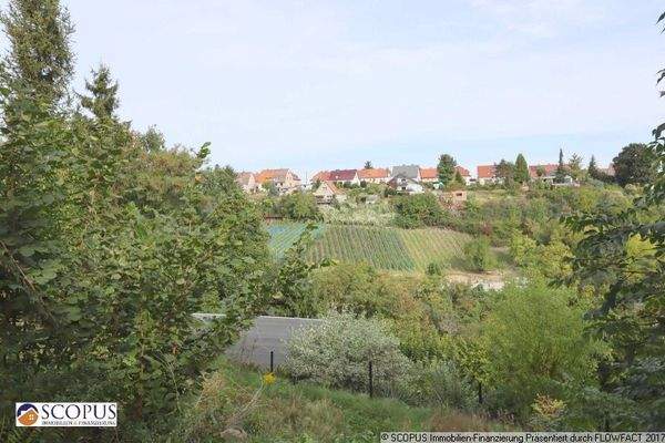 Blick vom Terrassengarten