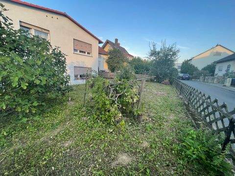 Wöllstadt Häuser, Wöllstadt Haus kaufen