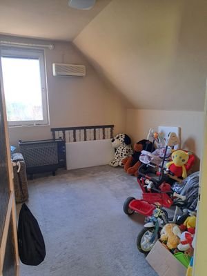 20230316_164322.jpg